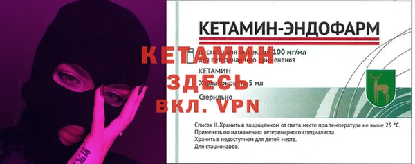 ГАЛЛЮЦИНОГЕННЫЕ ГРИБЫ Каменка