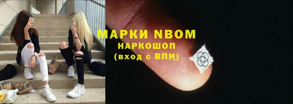 ГАЛЛЮЦИНОГЕННЫЕ ГРИБЫ Каменка