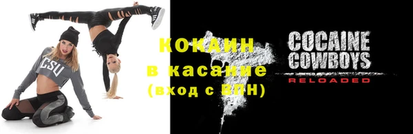 ГАЛЛЮЦИНОГЕННЫЕ ГРИБЫ Каменка