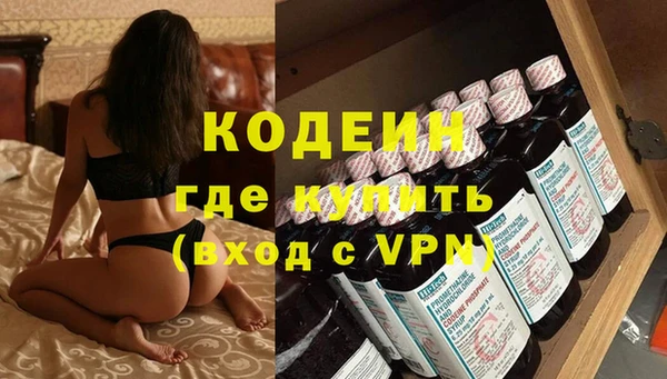 ГАЛЛЮЦИНОГЕННЫЕ ГРИБЫ Каменка