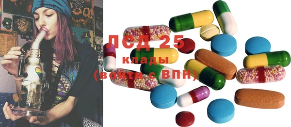 ГАЛЛЮЦИНОГЕННЫЕ ГРИБЫ Каменка
