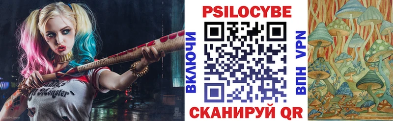 Купить закладки  Дальнегорск  Галлюциногенные грибы ЛСД 